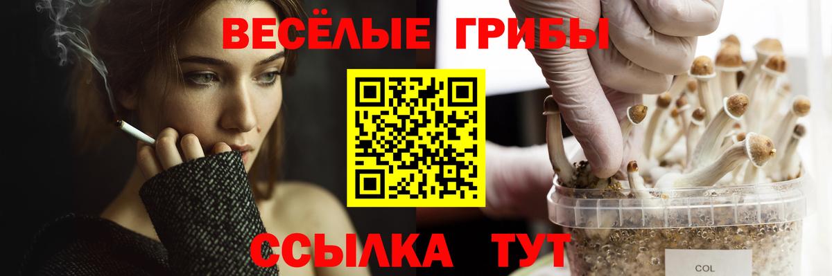 Галлюциногенные грибы GOLDEN TEACHER Тула